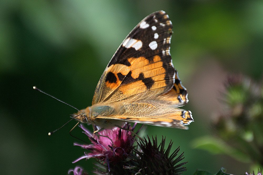 Photograph by Yroslava Veretina