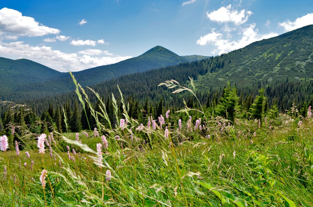 Чарiвнi Карпати
