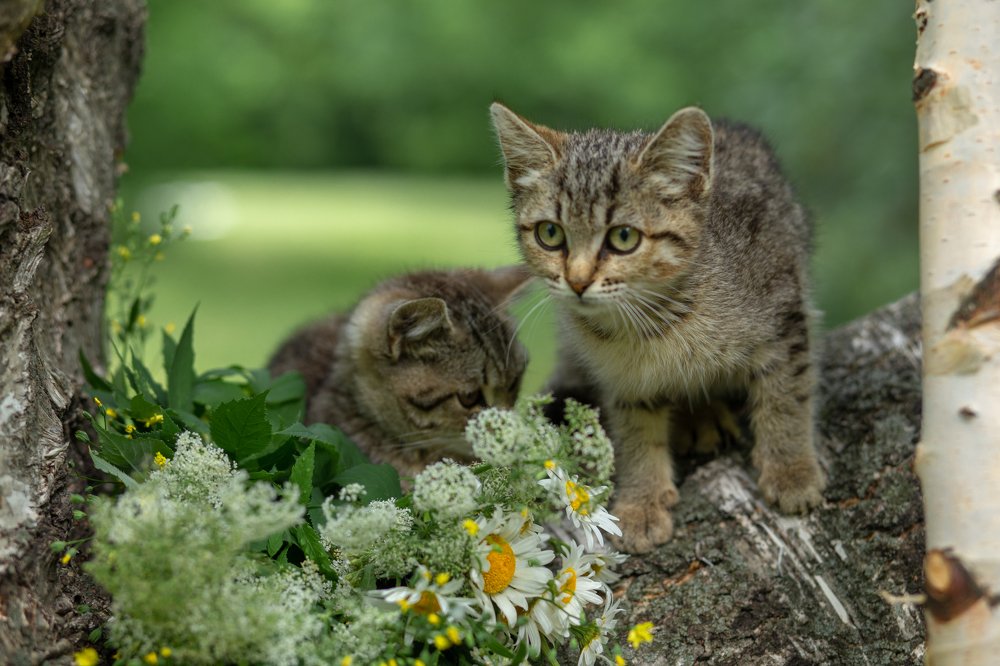 Photograph by Наталья Сидорова