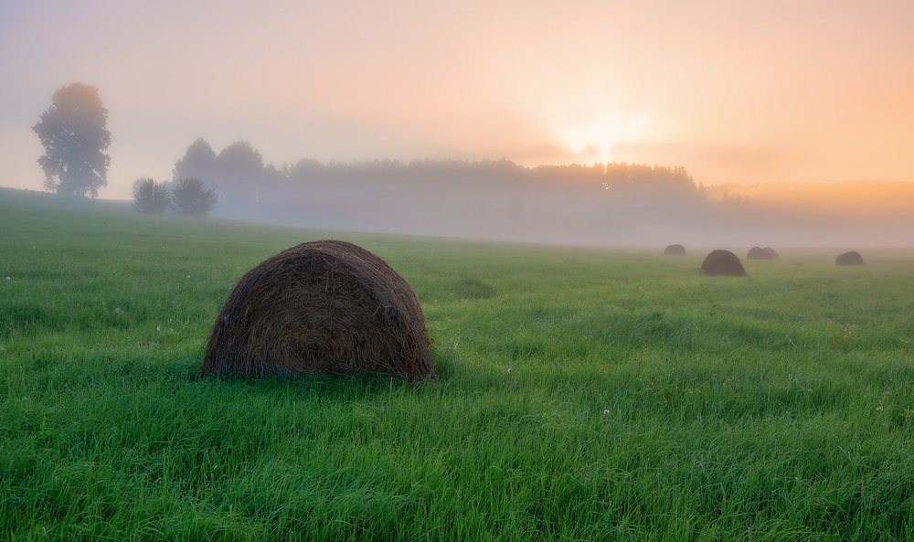 Как солнце пробивалось сквозь туман..