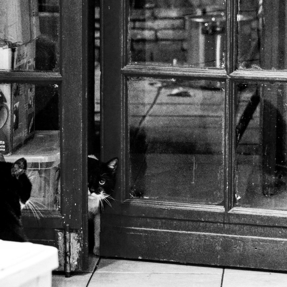 Photograph by Руслан Швиткий