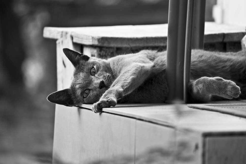 Photograph by Анна Быкова