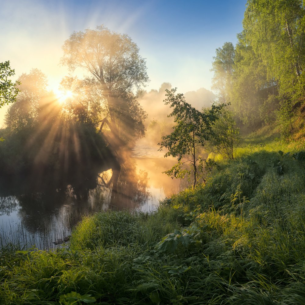 Солнечная корона