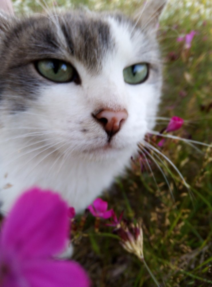 Photograph by Ксения Туваева