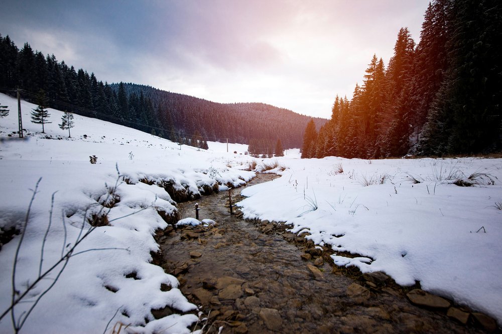 Photograph by Karácsony  Miklós