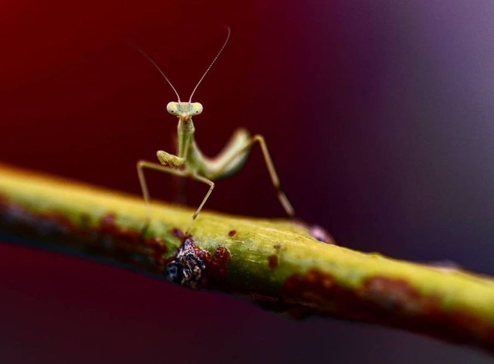 Photograph by Мария Путинцева