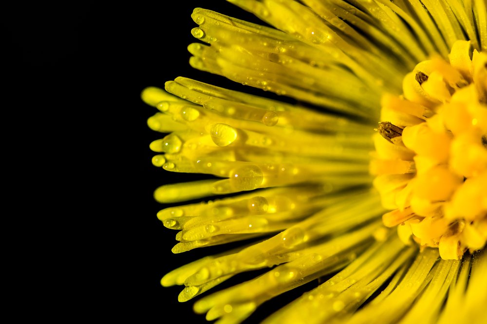 Заходящее солнце