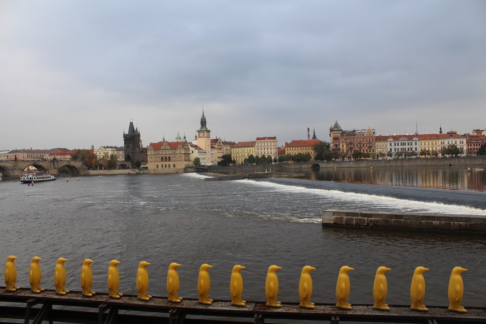 Photograph by Виталий