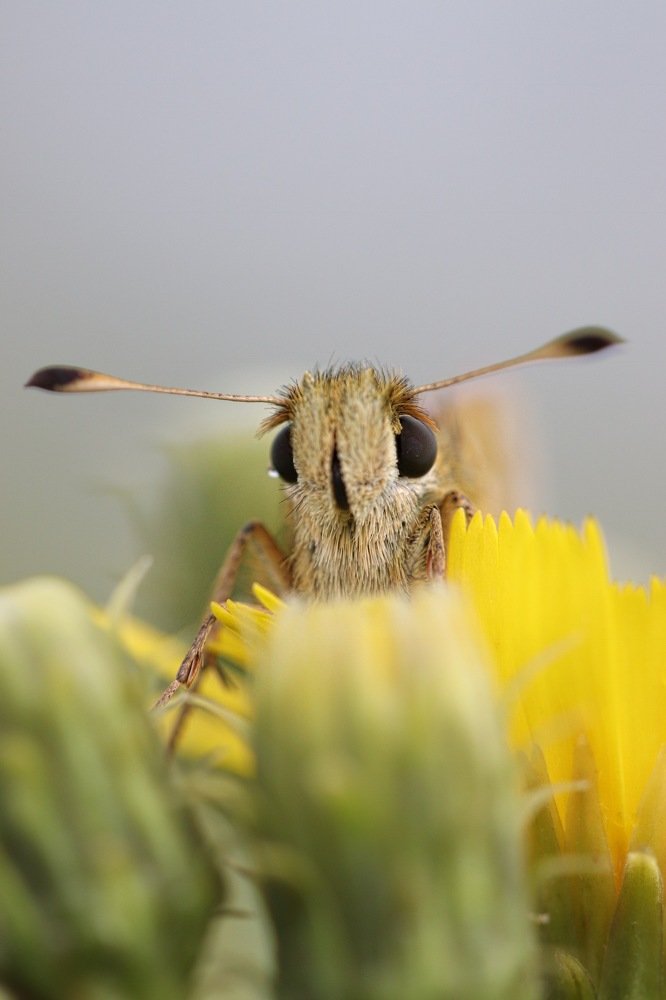 Photograph by Екатерина