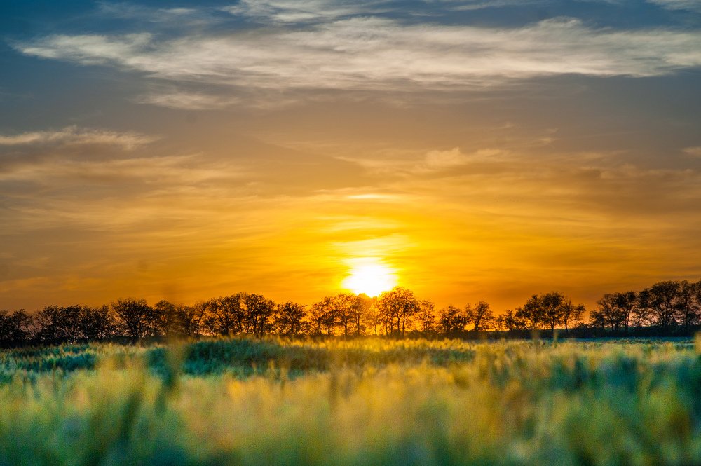Закат в поле