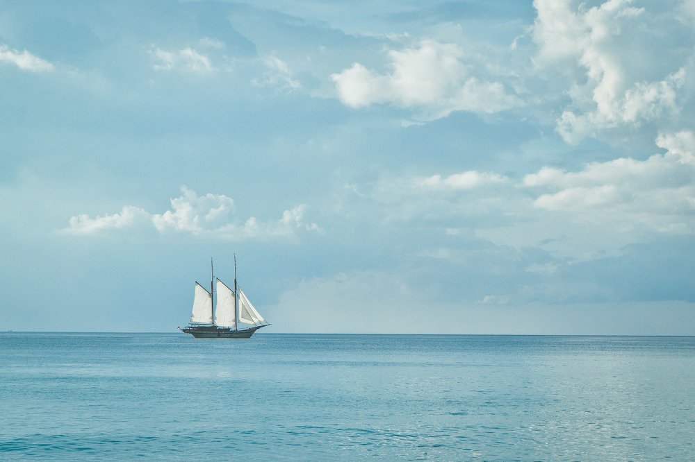 Белеет парус