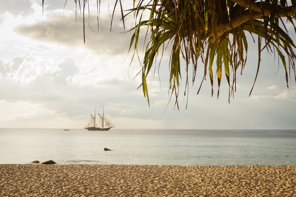 Photograph by Людмила Пак