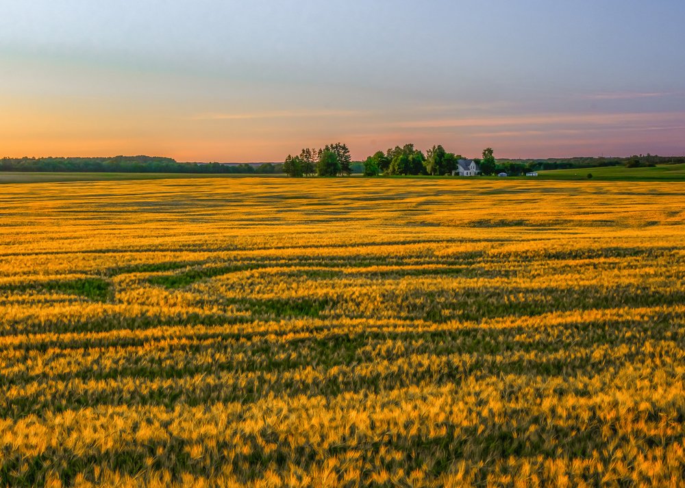 Вечер в Эстонии.