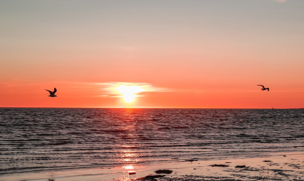 Сайки, закат и море!