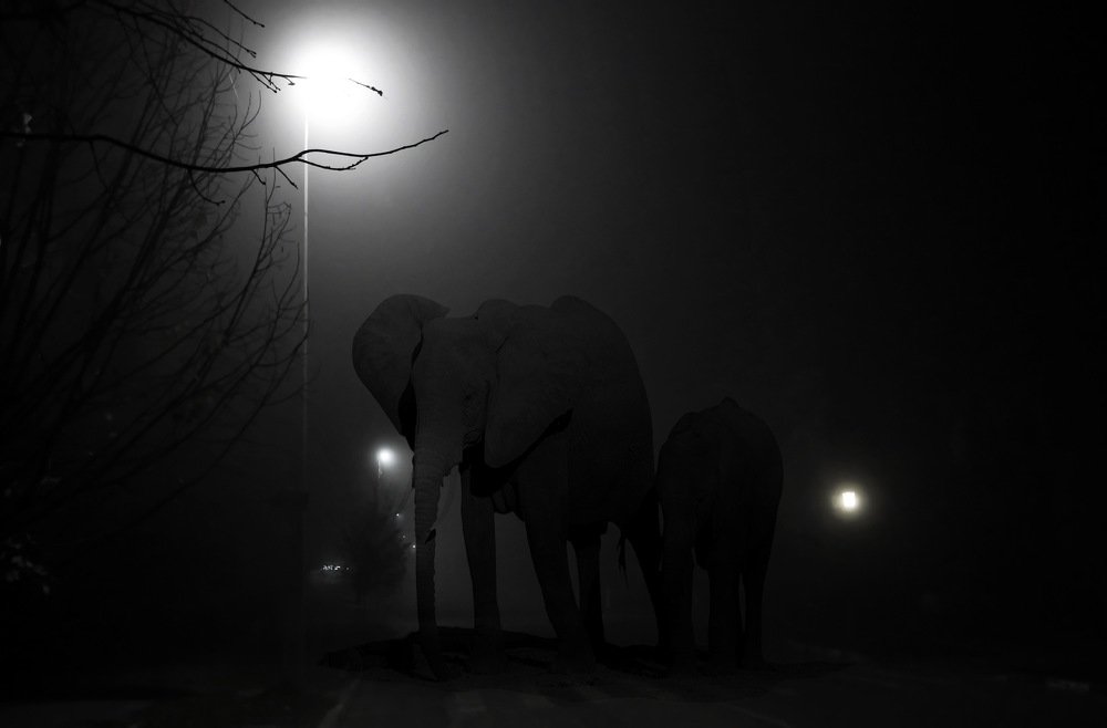 Фотография автора Анатолий Мироненко