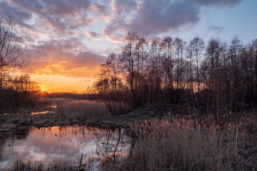Весенний закат)