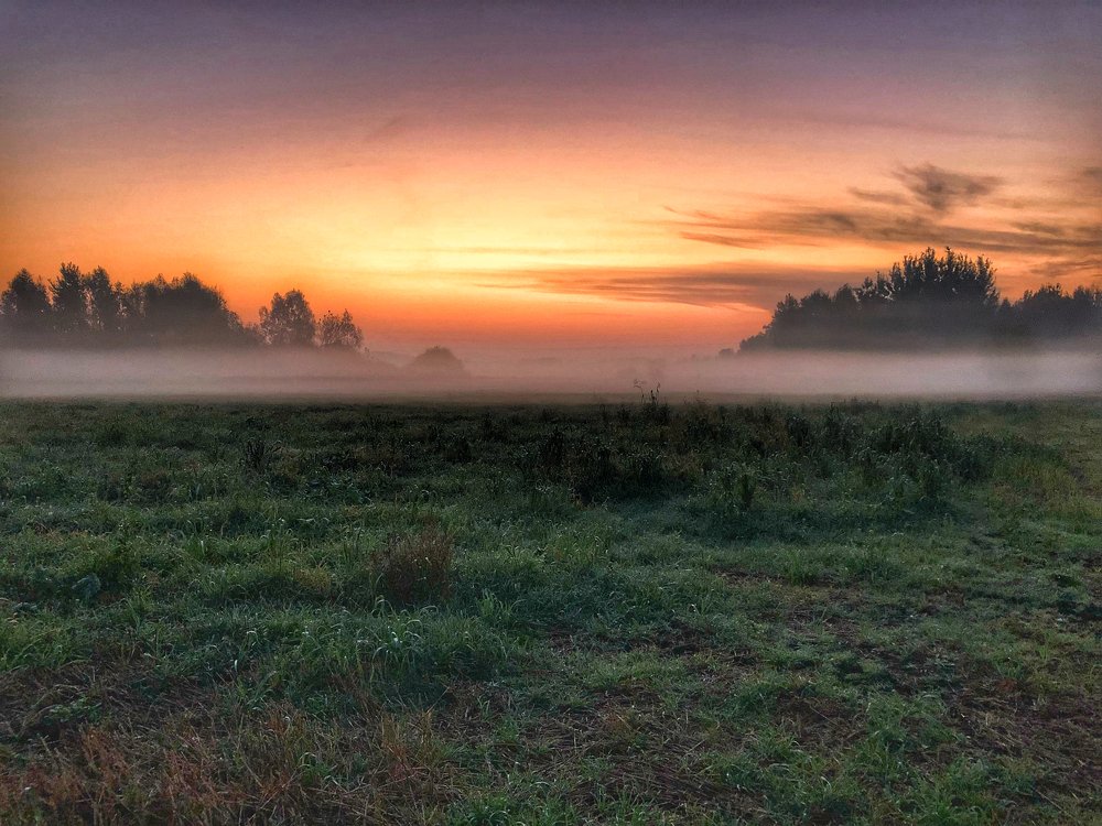 Photograph by Przemyslaw Wlodkowski