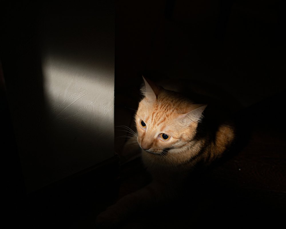 Photograph by Артур Газиев