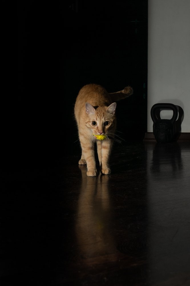 Своя ноша не тяжела