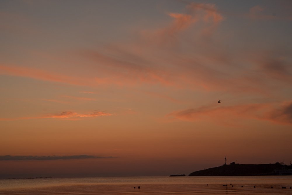 Photograph by Ирина Хромова