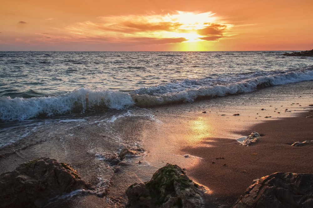 Навстречу волне.