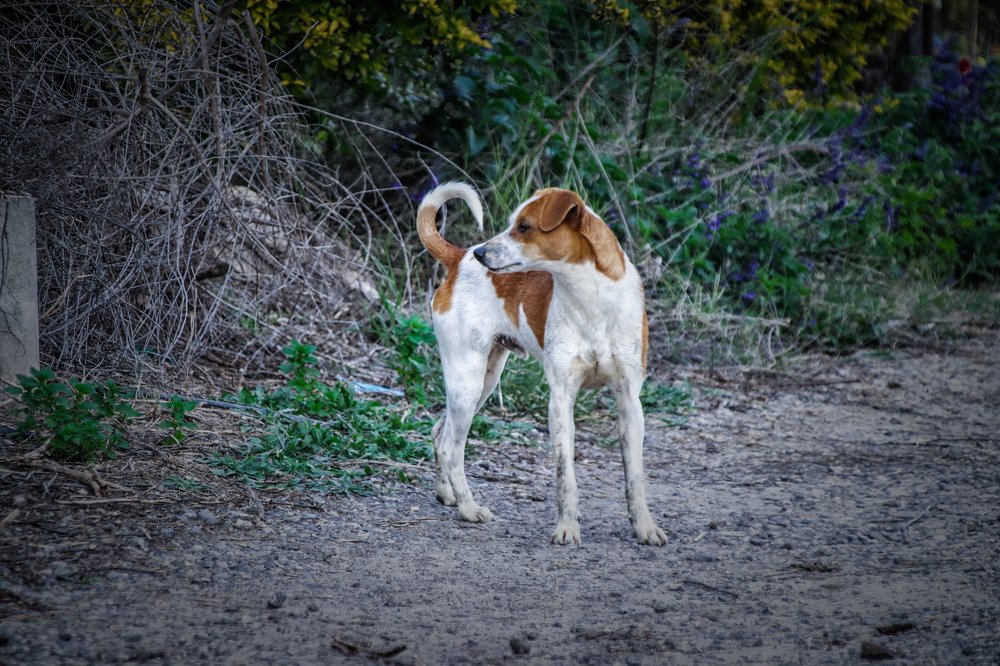 Photograph by Тася Карагодина