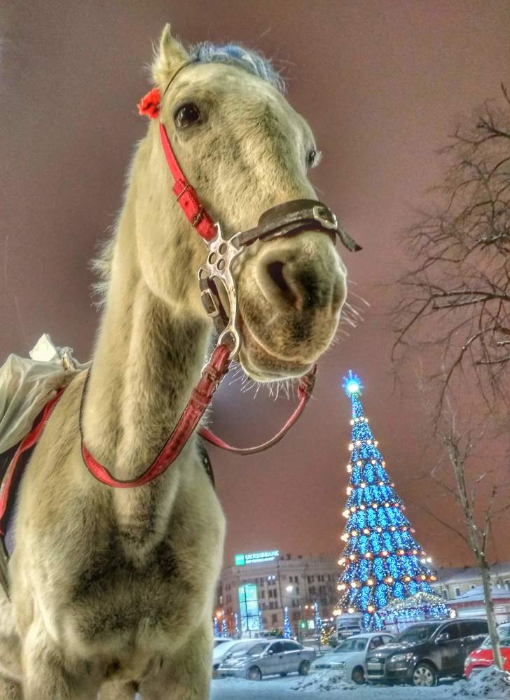 Новый год заказывали?)