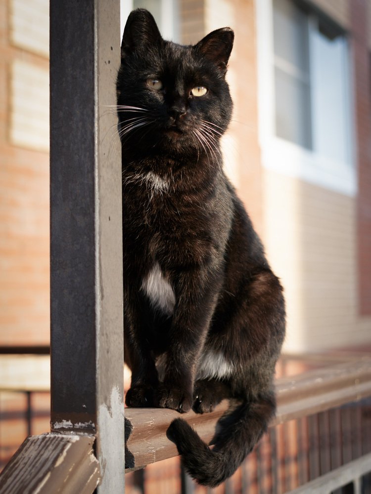 Photograph by Антон Уба