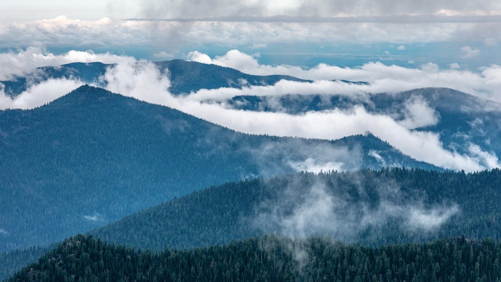 Море тайги.