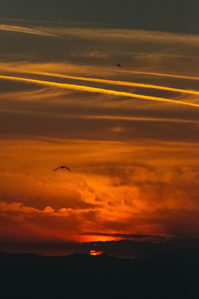 Фотография автора Ivelina Petkova