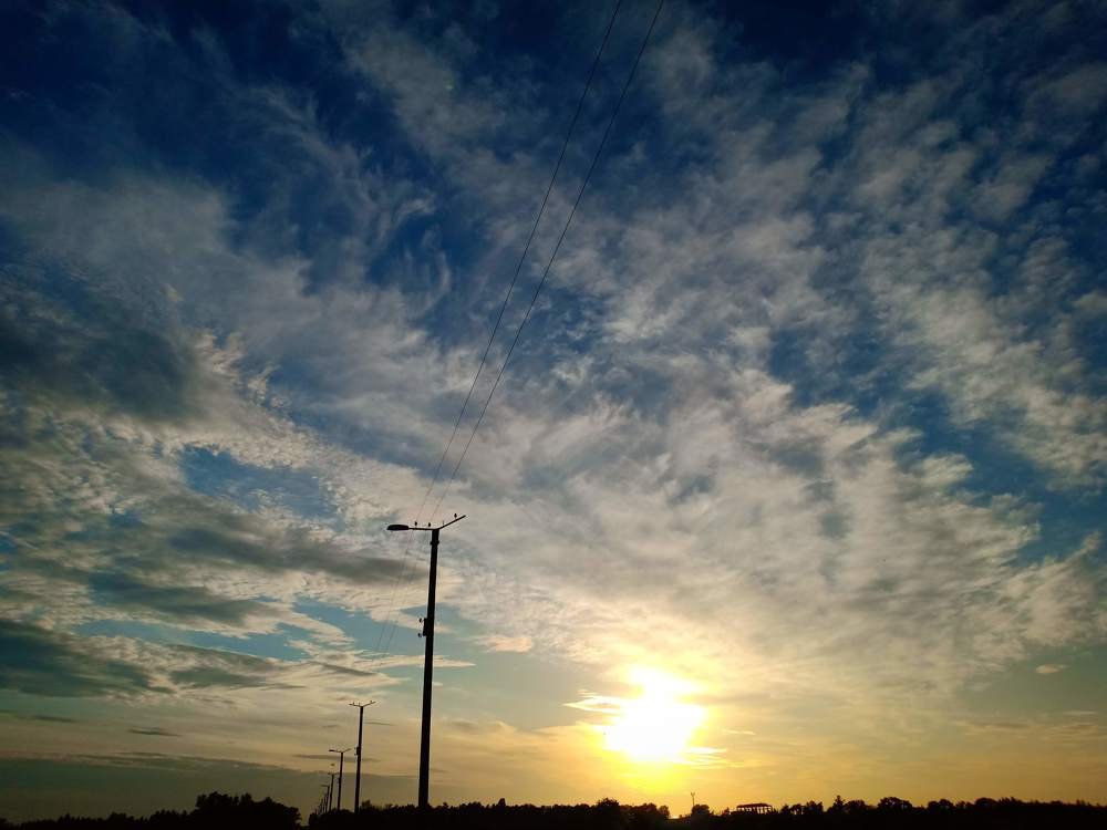 Photo #3477326
