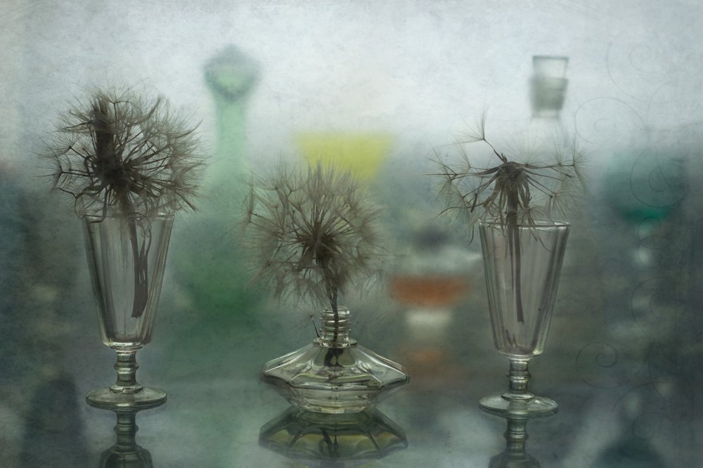 Одуванчиково-стеклянные сны....