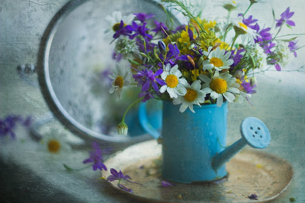 Лето в поливальнике....