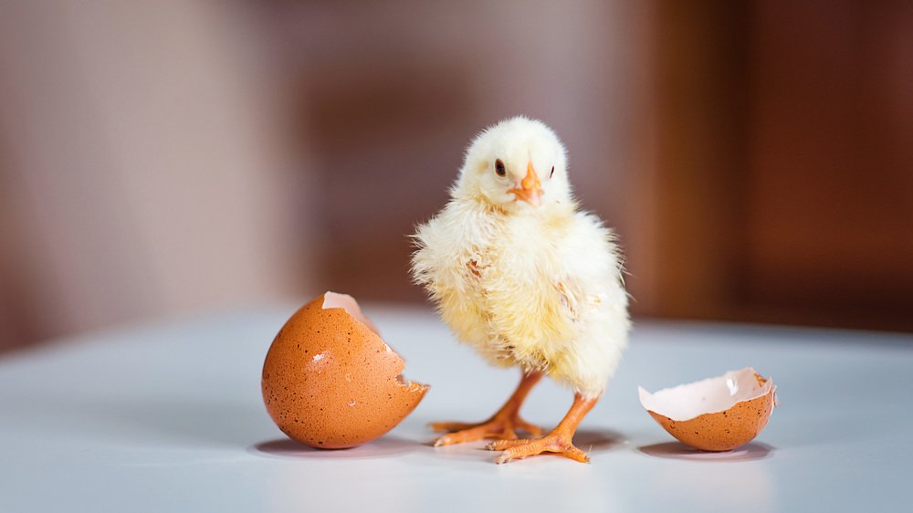 Мир оказывается больше