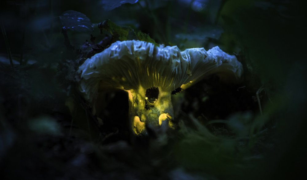 Домик для фей