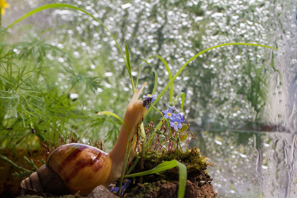 Photograph by Таня Короткова