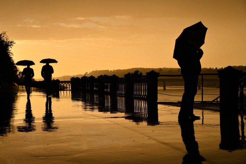 Силуэты слепого дождя