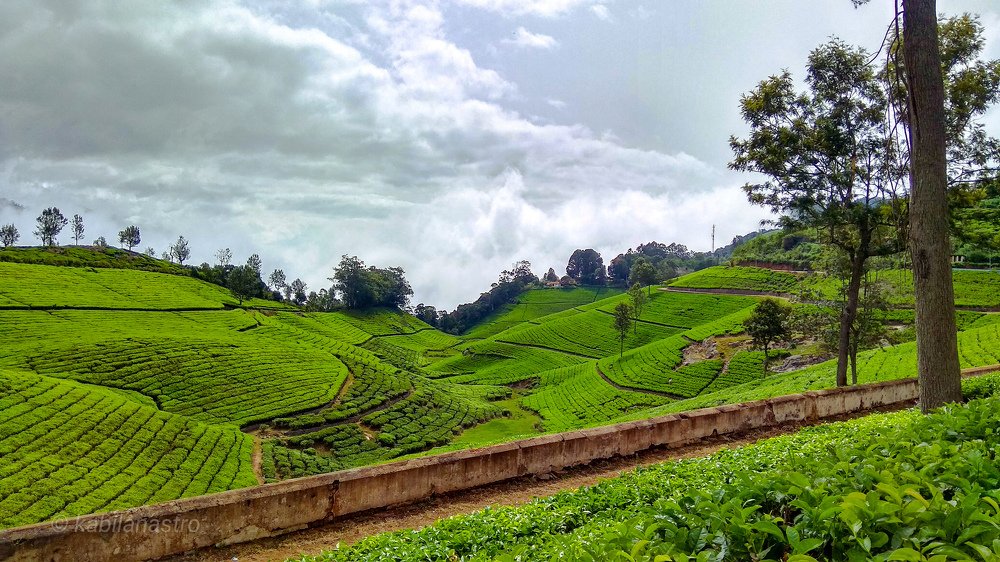 Green valley mountains.