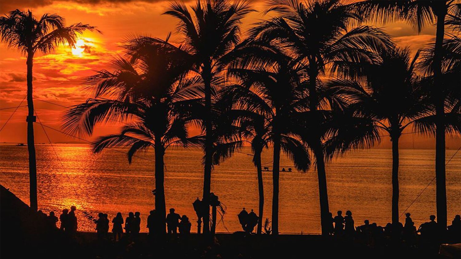 Beautiful Sunset