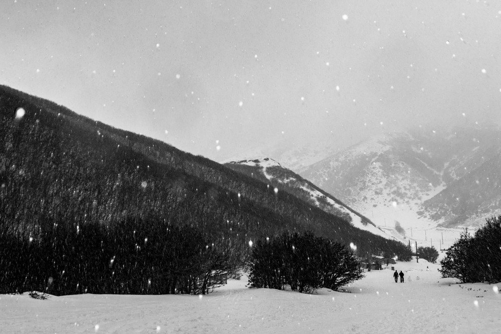 Snowy Day