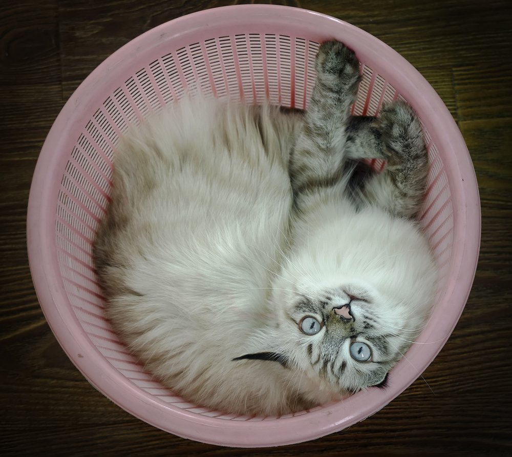 Photograph by Чунина Наталья