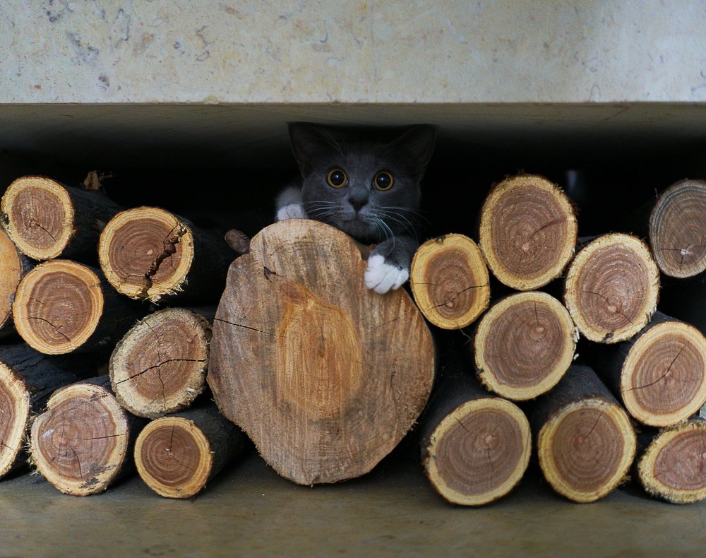 Stuck \ Застряла