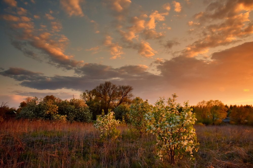 ОБИЛОВАНИЕ