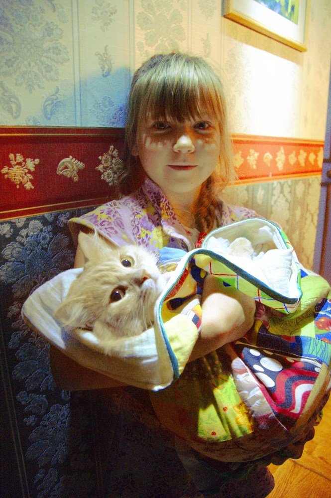 Кот в зазеркалье