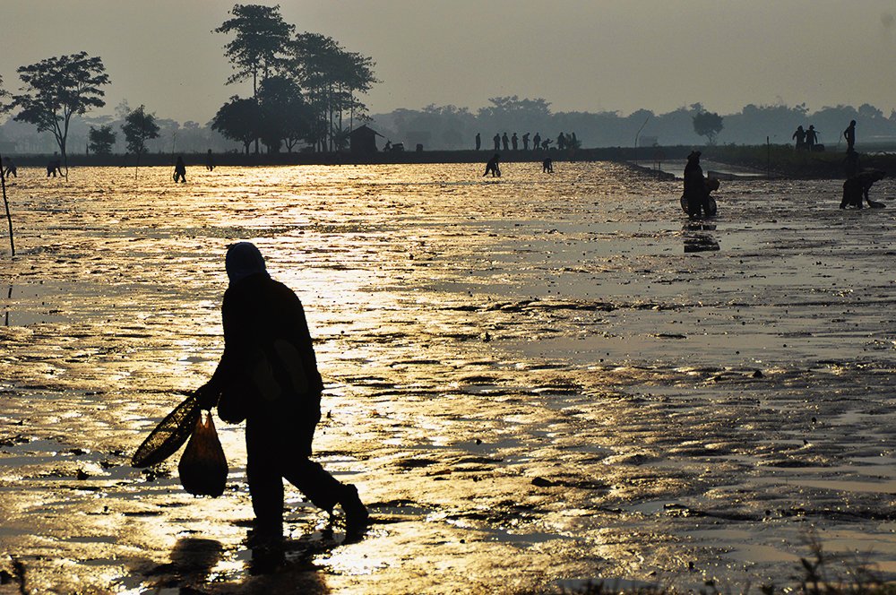 DAY MORNING ACTIVITIES