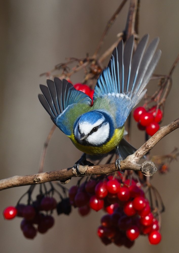 Это не для меня.