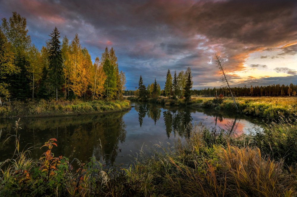 Photograph by Татьяна Борисова