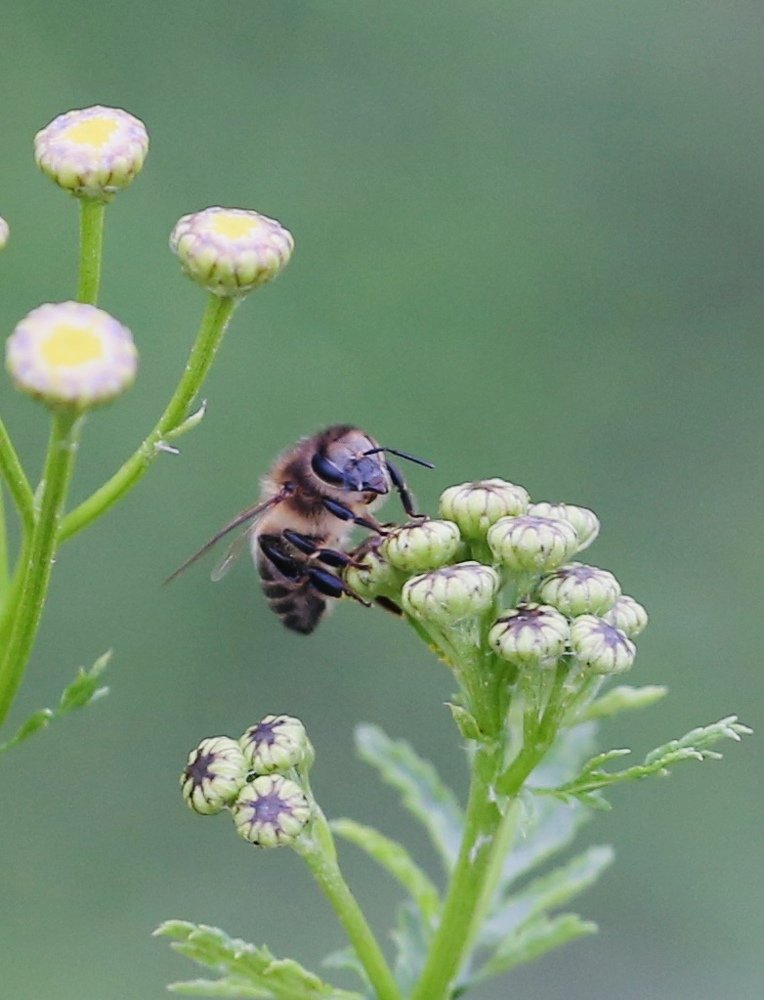 Photograph by  Михаил