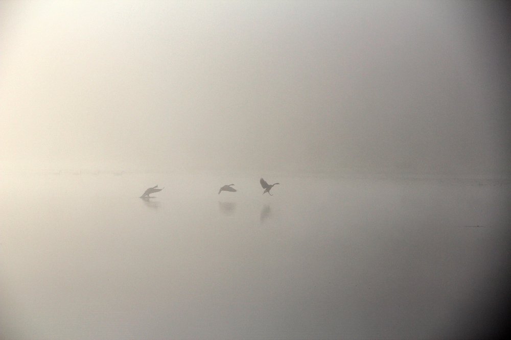 На рассвете