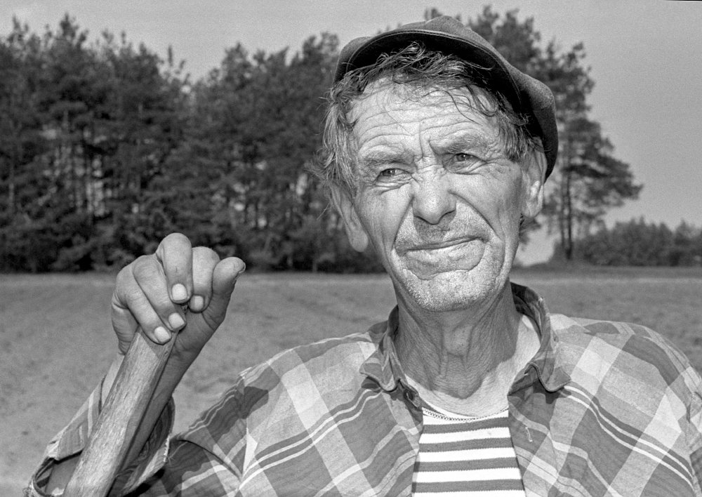 Пора сенокоса.